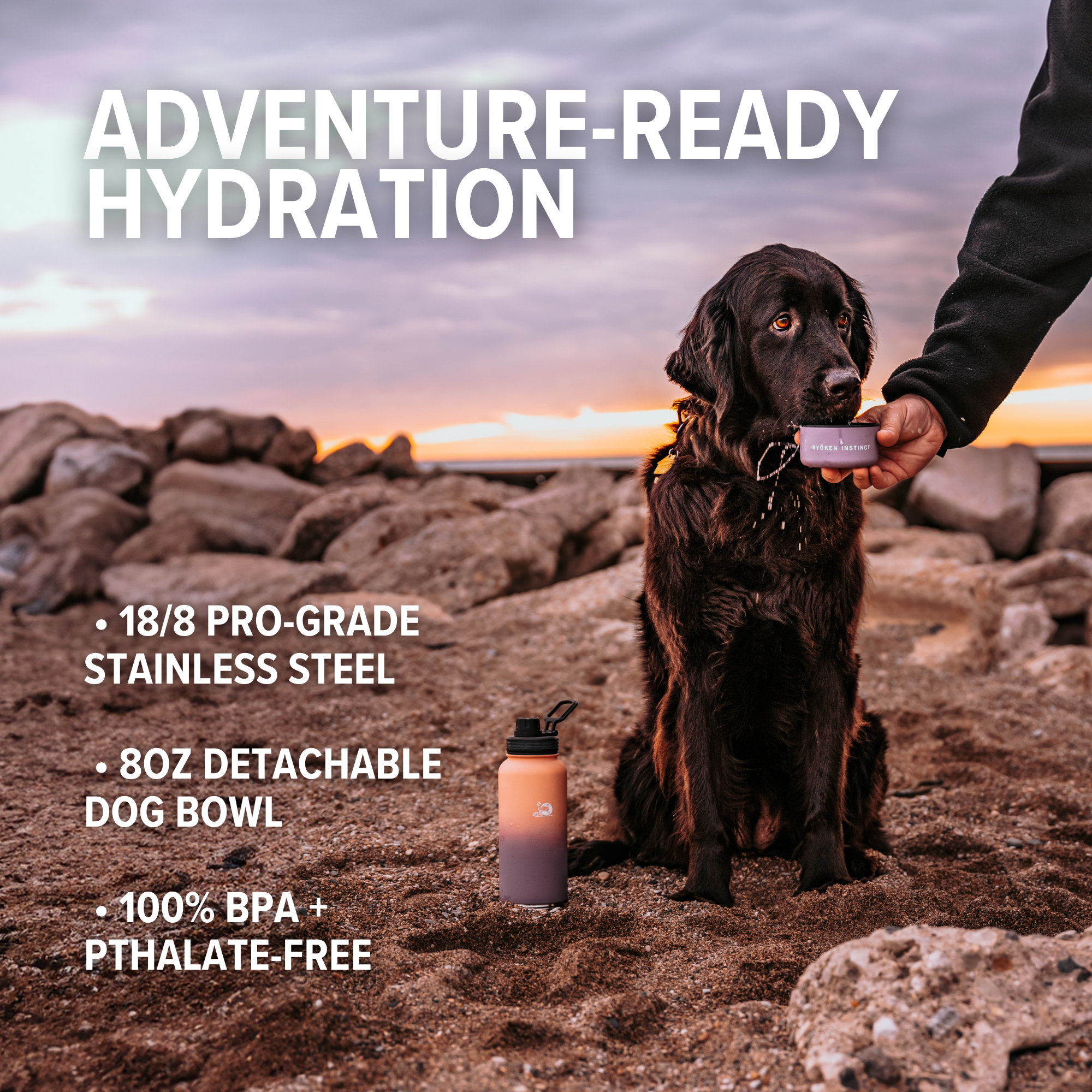 Ryoken 40oz Stainless Steel Dog Water Bottle Orange Lavendar