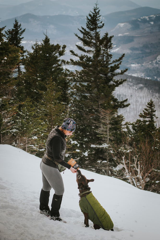The Top 10 Nutrients Every Active Dog Needs for Optimal Health