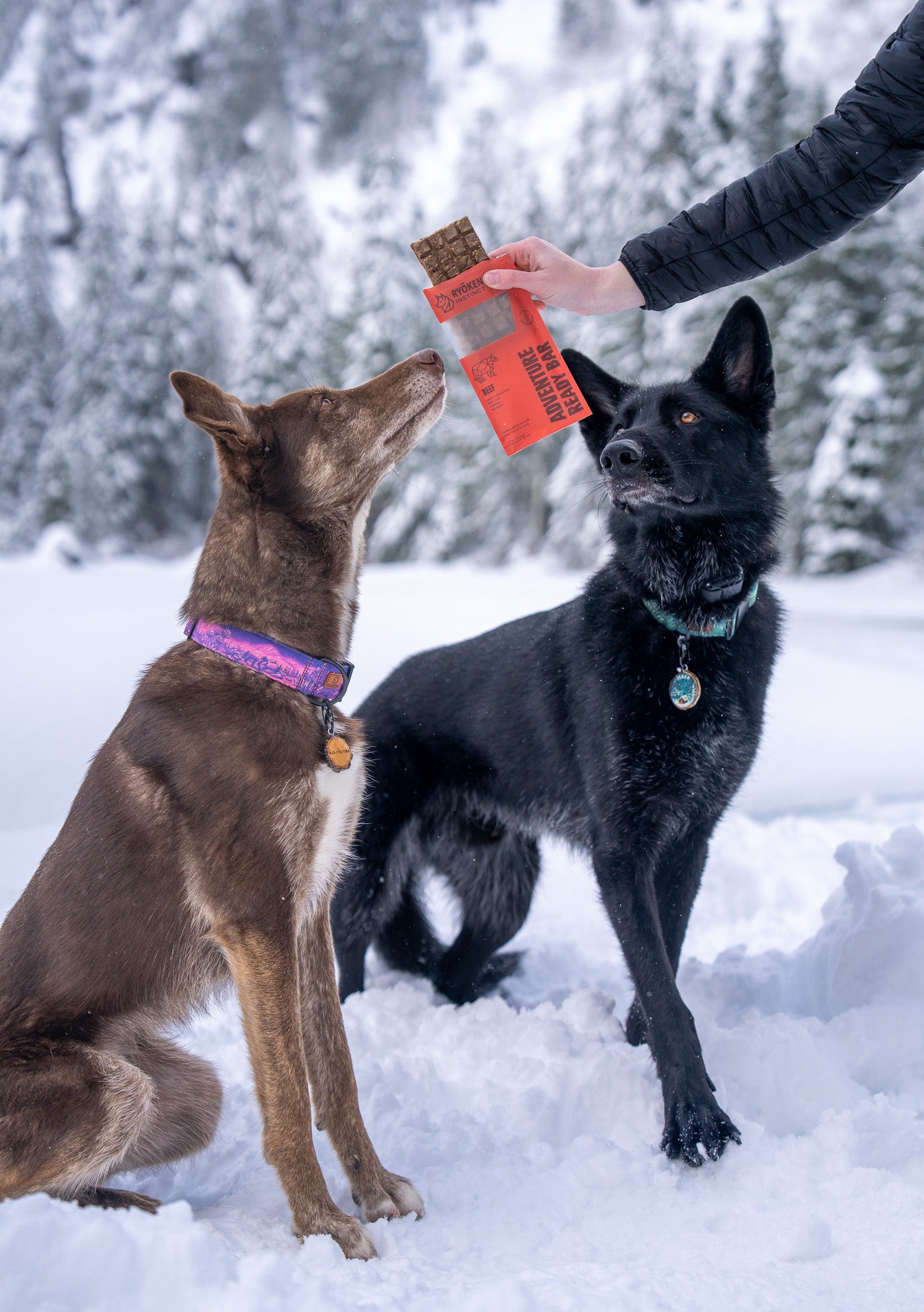 ドッグフード RIRI RYŌKEN INSTINCT | Adventure Ready Snacks for Adventure Ready Dogs