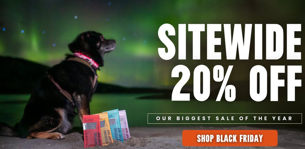 Dog sitting on a rock with a Northern Lights background, promoting a Black Friday sale with text overlay.