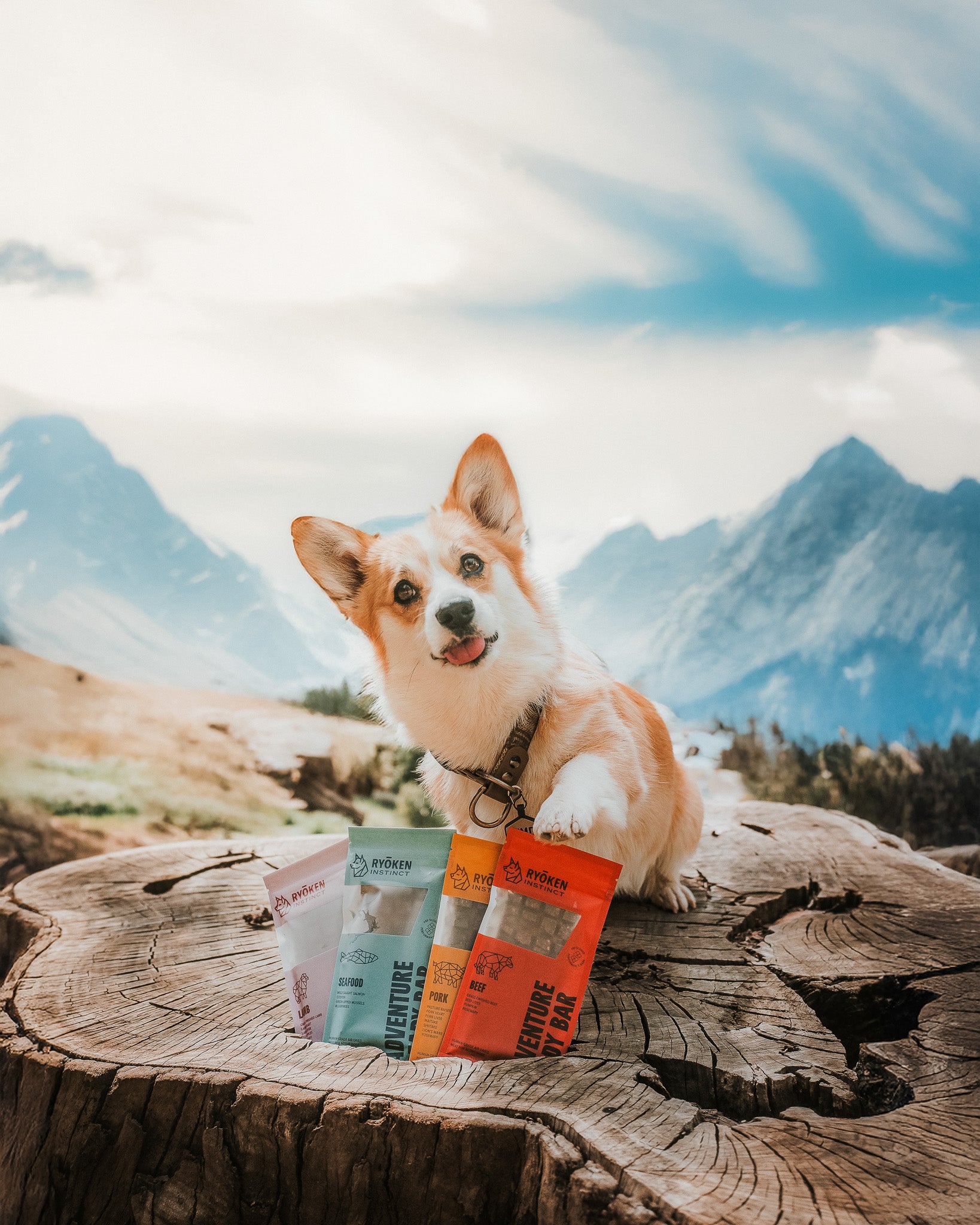 RYŌKEN INSTINCT | Adventure Ready Snacks for Adventure Ready Dogs