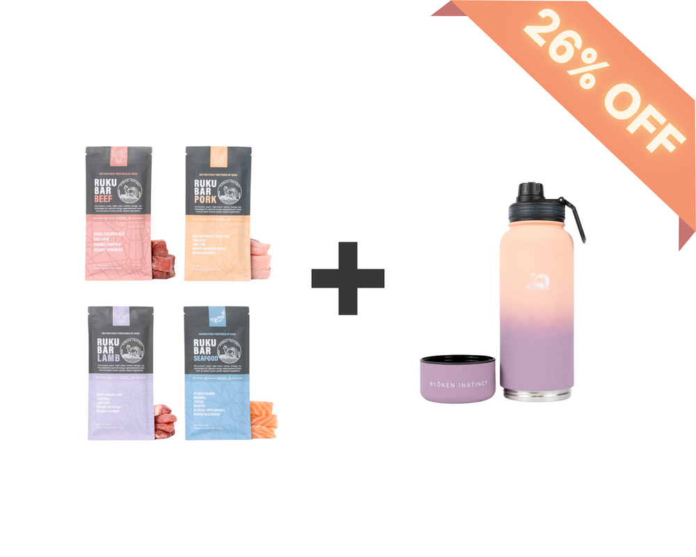 ON-THE-GO BUNDLE